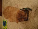 DSC00108_R.jpg